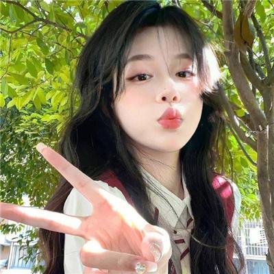 小查与寇弟的顶级冒险